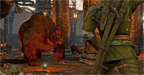 king's gambit witcher 3|witcher 3 skellige.